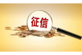 新华新华讨债公司服务